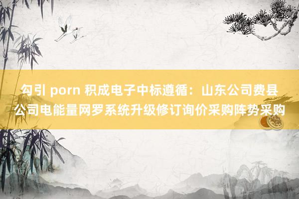 勾引 porn 积成电子中标遵循：山东公司费县公司电能量网罗系统升级修订询价采购阵势采购