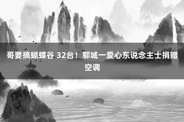 哥要搞蝴蝶谷 32台！郓城一爱心东说念主士捐赠空调