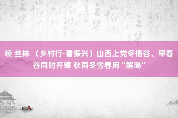 绫 丝袜 （乡村行·看振兴）山西上党冬播谷、早春谷同时开镰 秋雨冬雪春用“解渴”