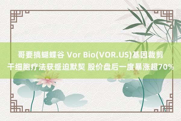 哥要搞蝴蝶谷 Vor Bio(VOR.US)基因裁剪干细胞疗法获蹙迫默契 股价盘后一度暴涨超70%