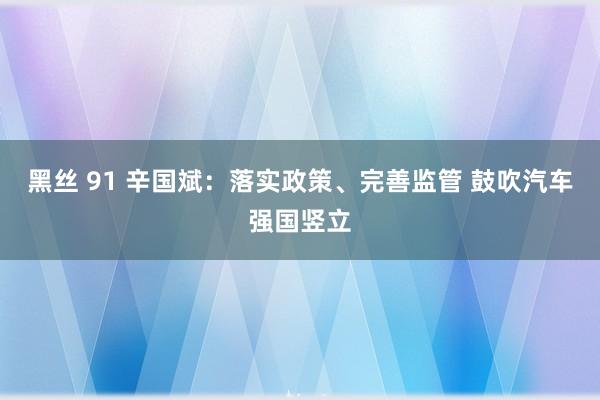 黑丝 91 辛国斌：落实政策、完善监管 鼓吹汽车强国竖立