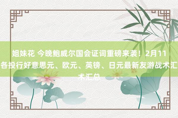 姐妹花 今晚鲍威尔国会证词重磅来袭！2月11日各投行好意思元、欧元、英镑、日元最新友游战术汇总