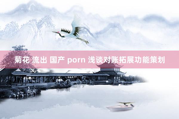 菊花 流出 国产 porn 浅谈对账拓展功能策划