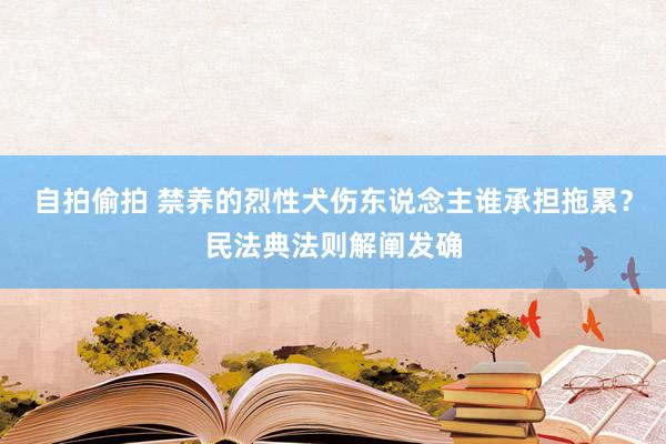 自拍偷拍 禁养的烈性犬伤东说念主谁承担拖累？民法典法则解阐发确