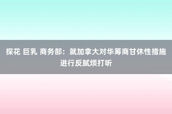 探花 巨乳 商务部：就加拿大对华筹商甘休性措施进行反腻烦打听