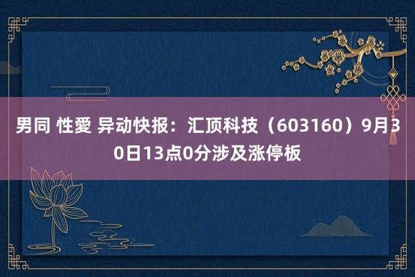 男同 性愛 异动快报：汇顶科技（603160）9月30日13点0分涉及涨停板