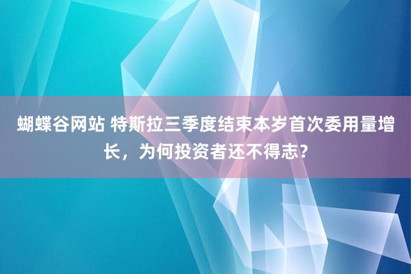 蝴蝶谷网站 特斯拉三季度结束本岁首次委用量增长，为何投资者还不得志？