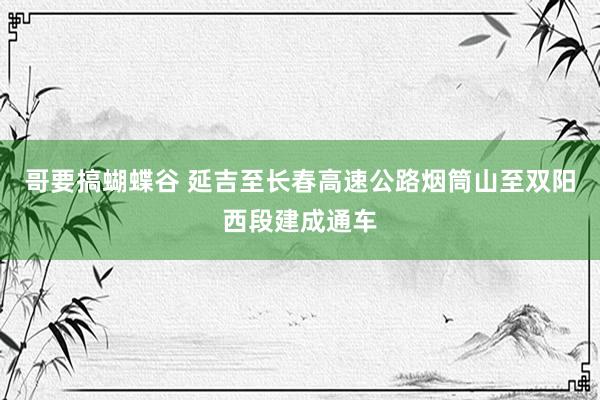 哥要搞蝴蝶谷 延吉至长春高速公路烟筒山至双阳西段建成通车