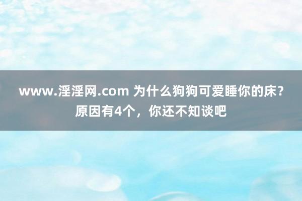 www.淫淫网.com 为什么狗狗可爱睡你的床？原因有4个，你还不知谈吧