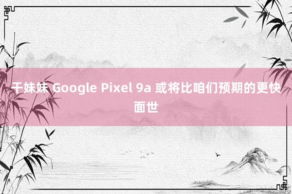 干妹妹 Google Pixel 9a 或将比咱们预期的更快面世