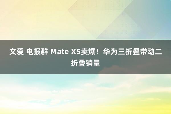 文爱 电报群 Mate X5卖爆！华为三折叠带动二折叠销量