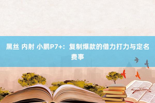 黑丝 内射 小鹏P7+：复制爆款的借力打力与定名费事