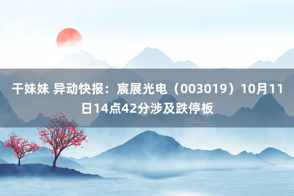 干妹妹 异动快报：宸展光电（003019）10月11日14点42分涉及跌停板