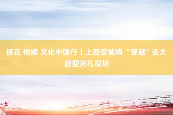 探花 视频 文化中国行丨上西安城墙 “穿越”去大唐迎宾礼现场