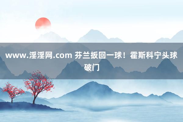 www.淫淫网.com 芬兰扳回一球！霍斯科宁头球破门