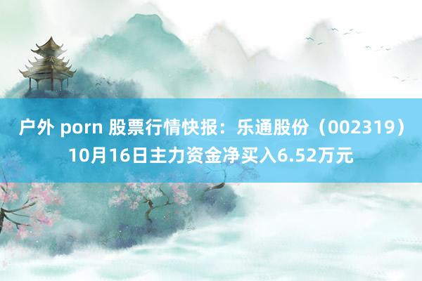 户外 porn 股票行情快报：乐通股份（002319）10月16日主力资金净买入6.52万元