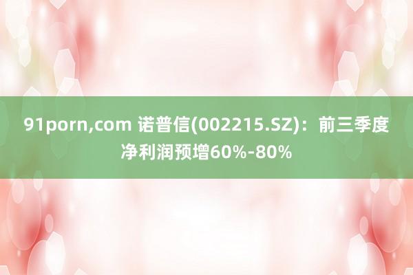 91porn，com 诺普信(002215.SZ)：前三季度净利润预增60%-80%