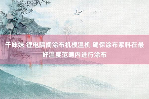 干妹妹 锂电隔阂涂布机模温机 确保涂布浆料在最好温度范畴内进行涂布