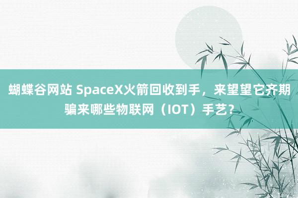 蝴蝶谷网站 SpaceX火箭回收到手，来望望它齐期骗来哪些物联网（IOT）手艺？