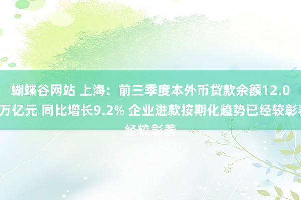 蝴蝶谷网站 上海：前三季度本外币贷款余额12.04万亿元 同比增长9.2% 企业进款按期化趋势已经较彰着