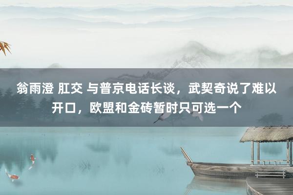 翁雨澄 肛交 与普京电话长谈，武契奇说了难以开口，欧盟和金砖暂时只可选一个