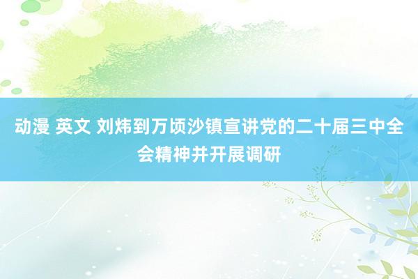 动漫 英文 刘炜到万顷沙镇宣讲党的二十届三中全会精神并开展调研