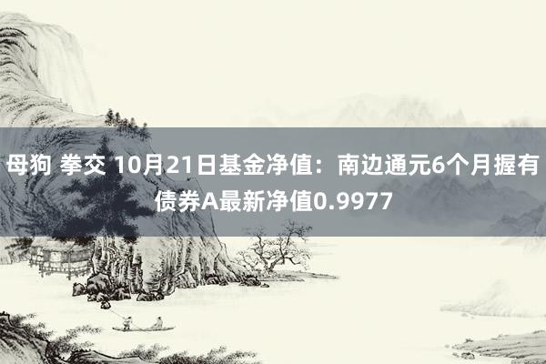 母狗 拳交 10月21日基金净值：南边通元6个月握有债券A最新净值0.9977