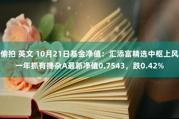 偷拍 英文 10月21日基金净值：汇添富精选中枢上风一年抓有搀杂A最新净值0.7543，跌0.42%