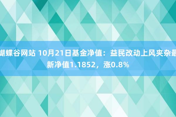 蝴蝶谷网站 10月21日基金净值：益民改动上风夹杂最新净值1.1852，涨0.8%