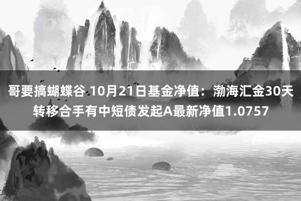 哥要搞蝴蝶谷 10月21日基金净值：渤海汇金30天转移合手有中短债发起A最新净值1.0757