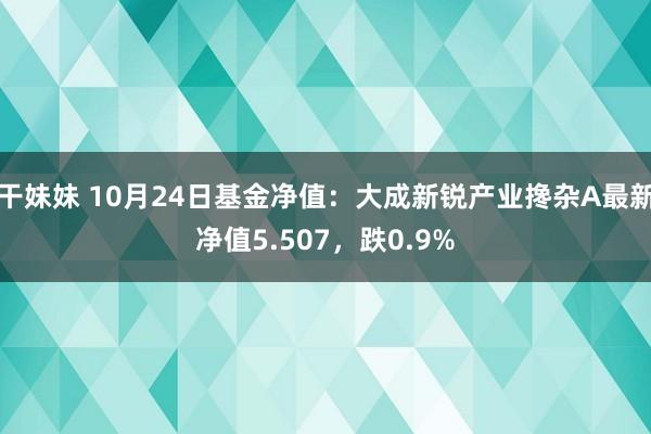 干妹妹 10月24日基金净值：大成新锐产业搀杂A最新净值5.507，跌0.9%