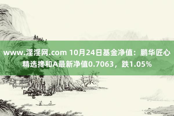 www.淫淫网.com 10月24日基金净值：鹏华匠心精选搀和A最新净值0.7063，跌1.05%