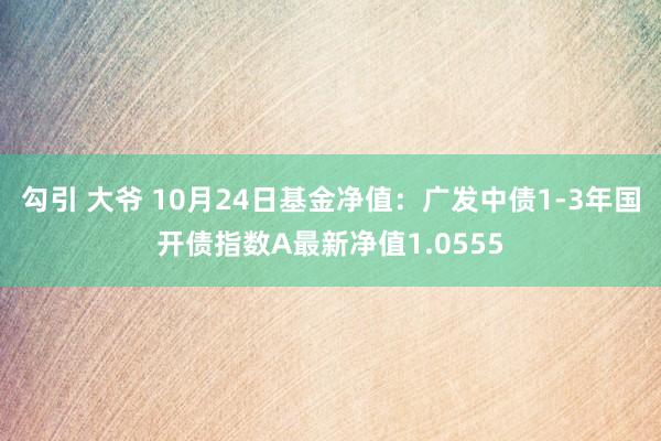 勾引 大爷 10月24日基金净值：广发中债1-3年国开债指数A最新净值1.0555