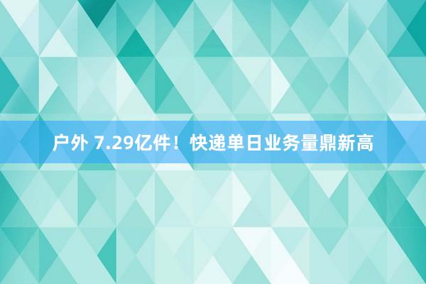 户外 7.29亿件！快递单日业务量鼎新高