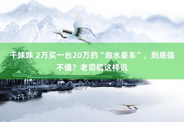 干妹妹 2万买一台20万的“泡水豪车”，到底值不值？老司机这样说