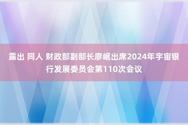 露出 同人 财政部副部长廖岷出席2024年宇宙银行发展委员会第110次会议