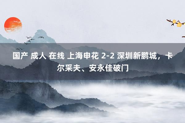 国产 成人 在线 上海申花 2-2 深圳新鹏城，卡尔采夫、安永佳破门