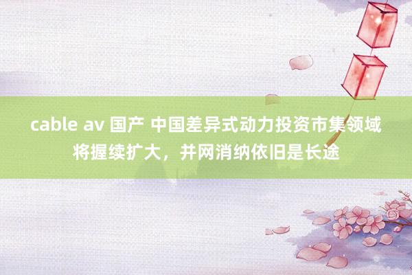 cable av 国产 中国差异式动力投资市集领域将握续扩大，并网消纳依旧是长途