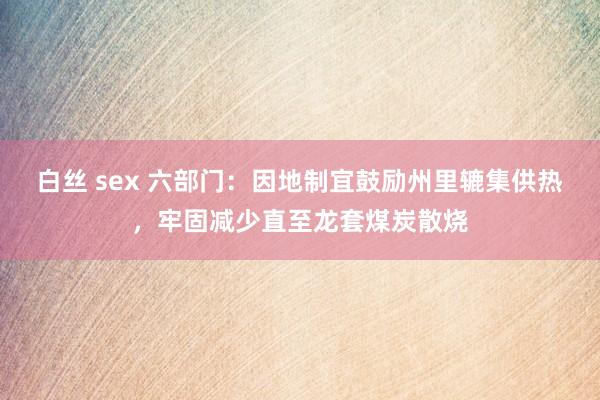 白丝 sex 六部门：因地制宜鼓励州里辘集供热，牢固减少直至龙套煤炭散烧