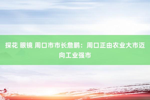 探花 眼镜 周口市市长詹鹏：周口正由农业大市迈向工业强市