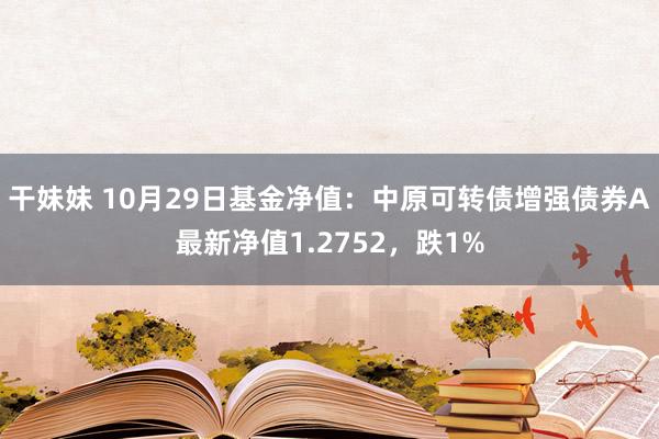 干妹妹 10月29日基金净值：中原可转债增强债券A最新净值1.2752，跌1%