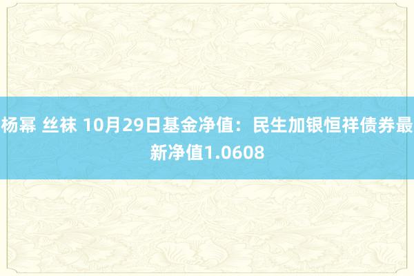 杨幂 丝袜 10月29日基金净值：民生加银恒祥债券最新净值1.0608