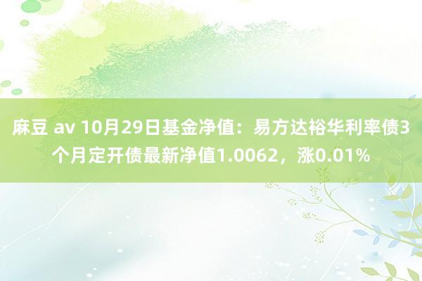 麻豆 av 10月29日基金净值：易方达裕华利率债3个月定开债最新净值1.0062，涨0.01%