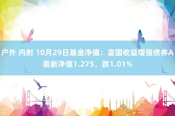 户外 内射 10月29日基金净值：富国收益增强债券A最新净值1.275，跌1.01%