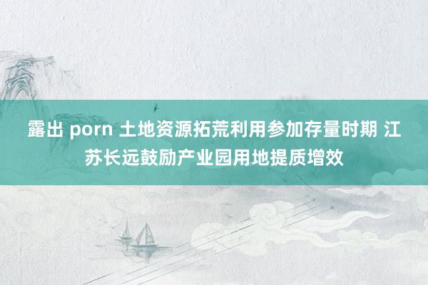 露出 porn 土地资源拓荒利用参加存量时期 江苏长远鼓励产业园用地提质增效