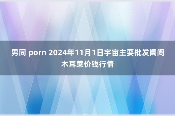 男同 porn 2024年11月1日宇宙主要批发阛阓木耳菜价钱行情