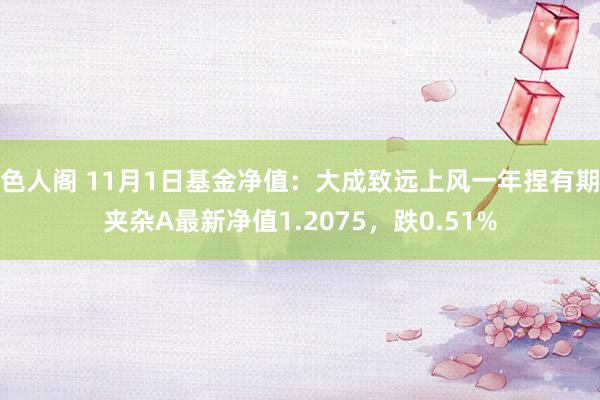 色人阁 11月1日基金净值：大成致远上风一年捏有期夹杂A最新净值1.2075，跌0.51%