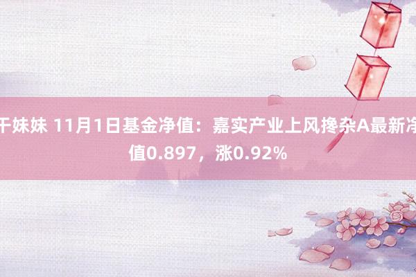 干妹妹 11月1日基金净值：嘉实产业上风搀杂A最新净值0.897，涨0.92%