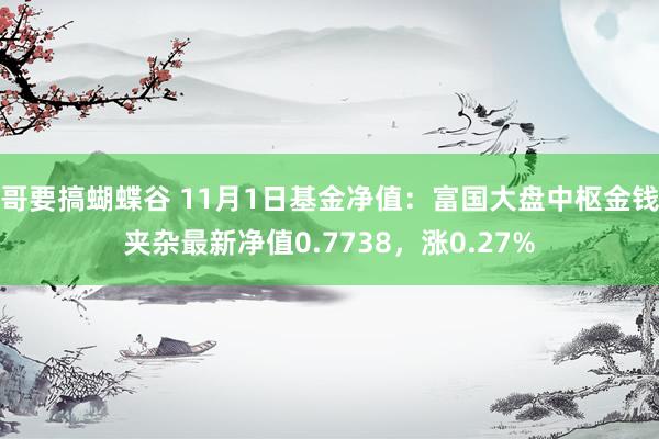 哥要搞蝴蝶谷 11月1日基金净值：富国大盘中枢金钱夹杂最新净值0.7738，涨0.27%