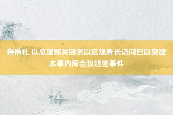 撸撸社 以总理郑关键求以总观看长访问巴以突破本事内阁会议泄密事件